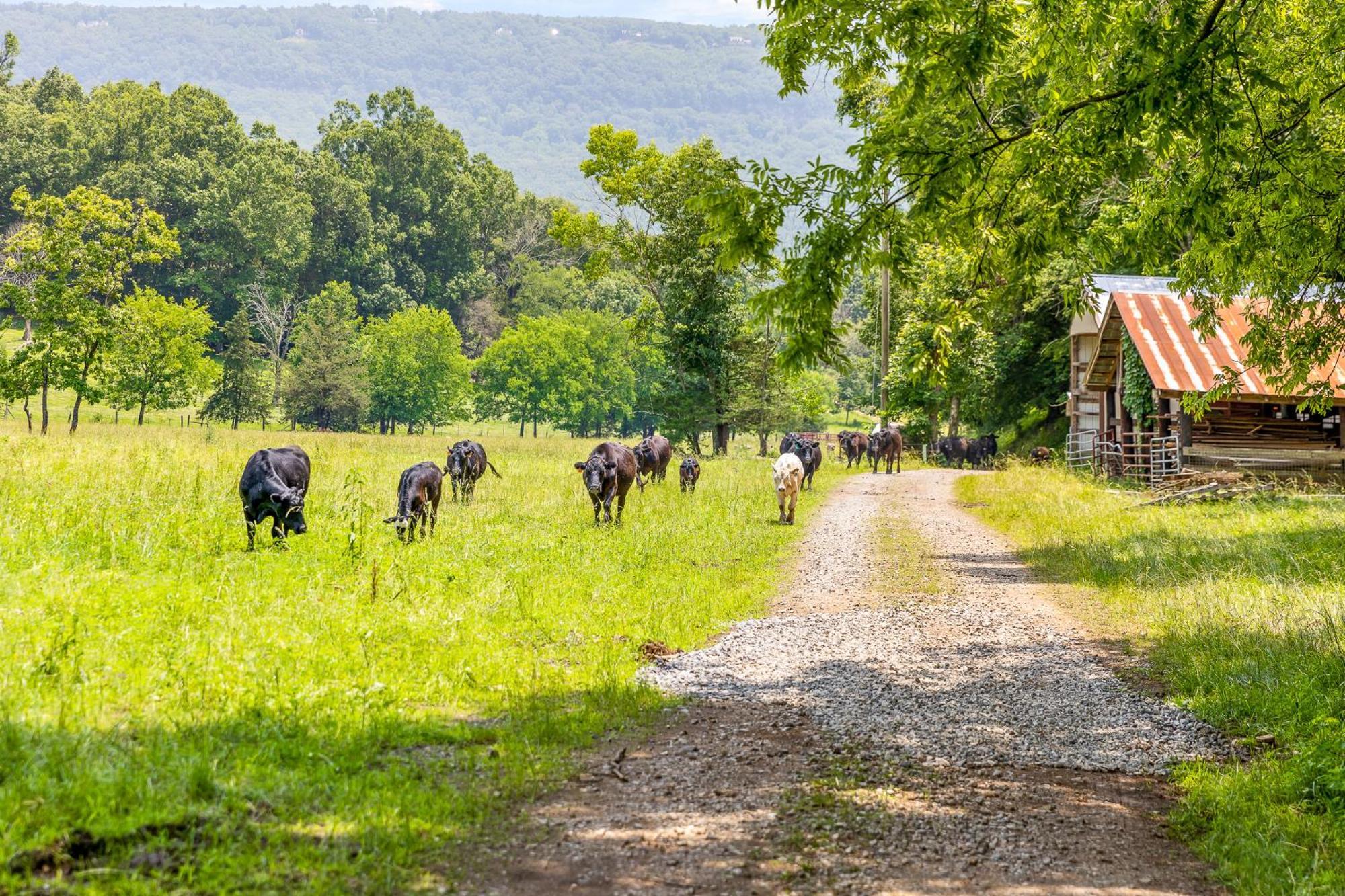 Quail Run Farm Pool Home Chattanooga Zewnętrze zdjęcie
